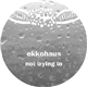 Ekkohaus - Not Trying To